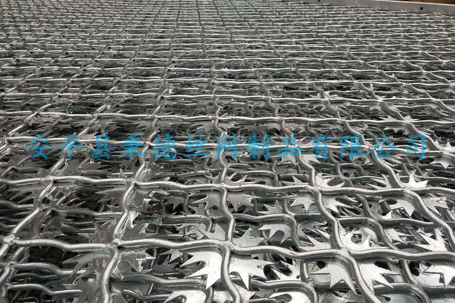 深圳監(jiān)獄刀刺隔離網(wǎng)