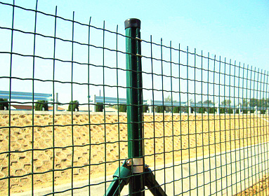 荷蘭網(wǎng)圍欄